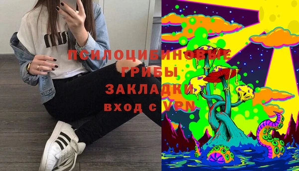 гидропоника Новодвинск