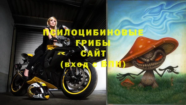 мдма Няндома